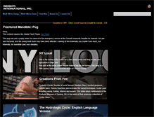 Tablet Screenshot of electronranch.com